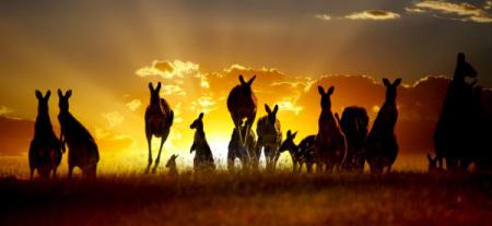 Séjours linguistiques pour adultes en Australie Découvre les différentes formules de séjours linguistiques pour adultes que nous te proposons en Australie