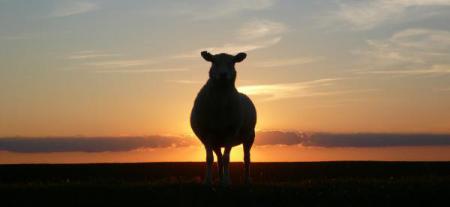 Séjours linguistiques pour adultes en Irlande Découvre les différentes formules de séjours linguistiques pour adultes que nous te proposons en Irlande