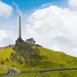 Découvre nos programmes adultes pour ton séjour à Auckland