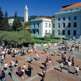 Découvre nos programmes adultes pour ton séjour à San Francisco Berkeley