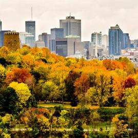 Découvre nos programmes adultes pour ton séjour à Montreal