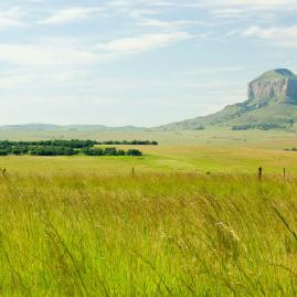 Découvre nos destinations en Afrique du Sud