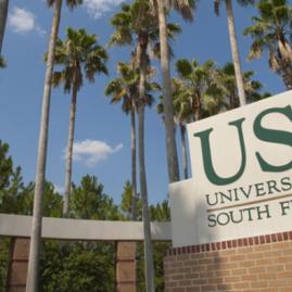 Fais tes études supérieures à University of South Florida aux États-Unis.